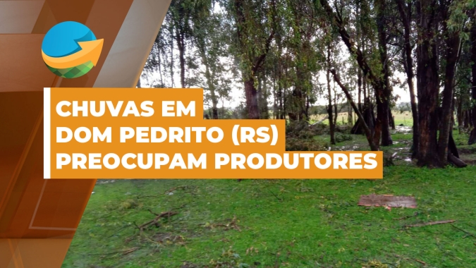 Chuvas fortes em Dom Pedrito (RS) preocupam produtores por possibilidade de atraso nos trabalhos para o plantio da soja