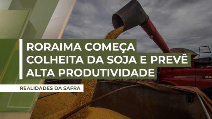 Roraima começa colheita da soja esperando alta produtividade