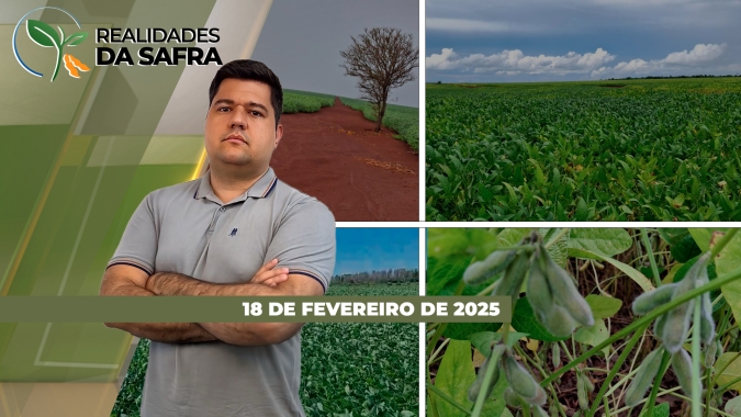 Região das Missões no RS já tem perdas de 45% na soja, mas produtividades estão positivas em Barra do Garças/MT e Cerejeiras/RO