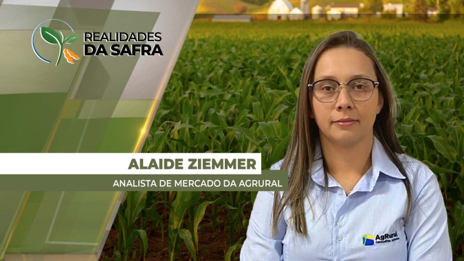 AgRural estima segunda safra acima de 90 milhões de toneladas após melhora de clima no Centro-Sul
