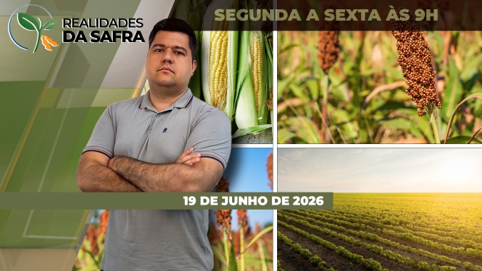 Colheita de segunda safra começa no Tocantins, enquanto preparação para arroz 26/27 está atrasada no Rio Grande do Sul