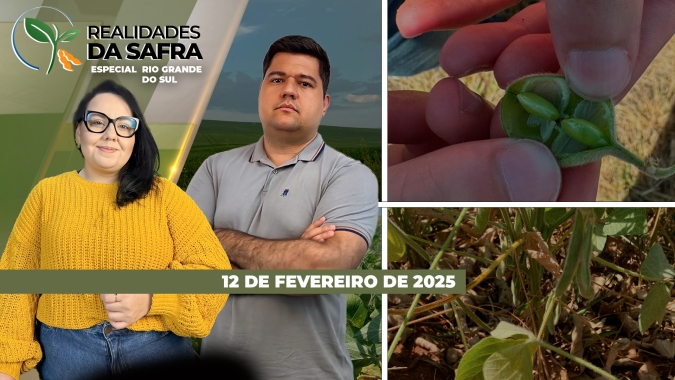 Pará ainda sofre com efeitos de taxação do agro; PR e MG colhem safra de soja com produtividade superando ano anterior