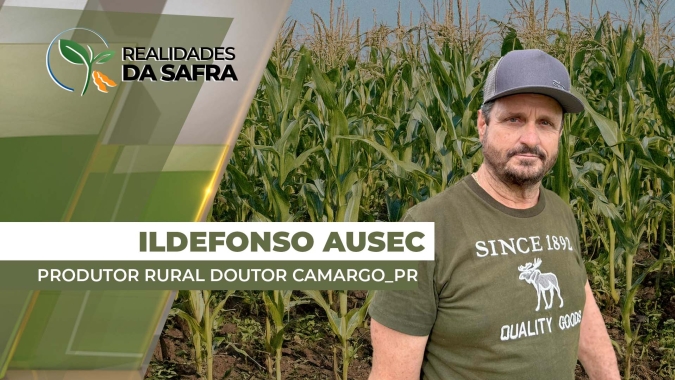 Lavouras de milho ainda precisam de mais 40 dias com chuvas em Doutor Camargo/PR
