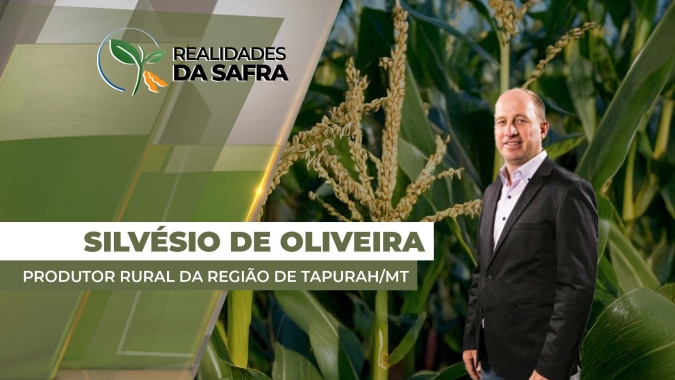 Com clima ajudando o milho, desafio em Tapurah/MT foi controle de lagartas