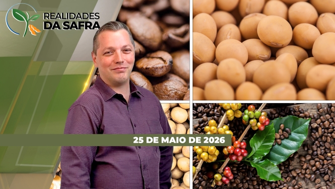Expectativa de safra de grãos recorde no Paraguai e início da colheita do café brasileiro