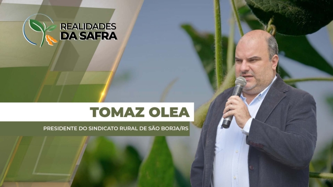 Colheita da soja está perto do final; soja do tarde deve ter desempenho melhor em São Borja (RS)