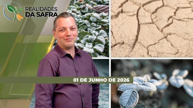 Impactos do El Niño estão no radar do setor de HF e cevada se mostra como importante cultura alternativa