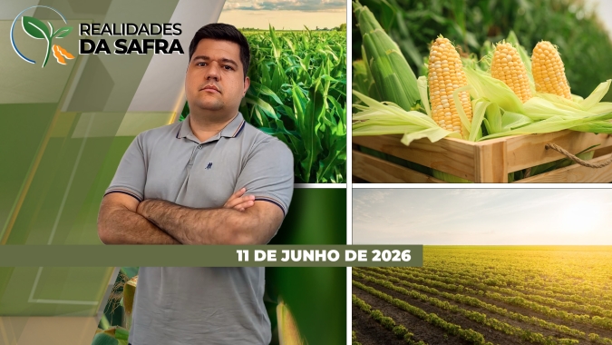 Colheita do milho avança no Mato Grosso, mas custo de produção e comercialização são preocupações nessa reta final
