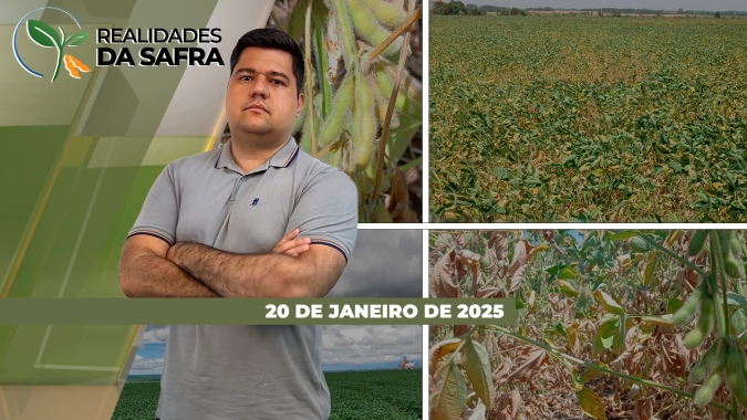 Palotina/PR avança com colheita esperando baixa produtividade enquanto Goiás projeta bom resultado na soja