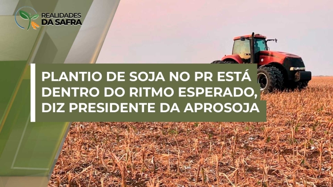 Plantio da soja no Paraná está com ritmo dentro do esperado, segundo presidente da Aprosoja, com pequeno aumento de área em substituição ao milho