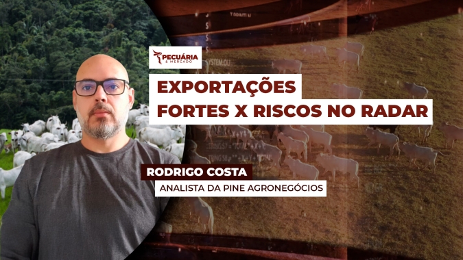 Exportações de carne bovina avançam na primeira semana de junho, mas com pontos de atenção