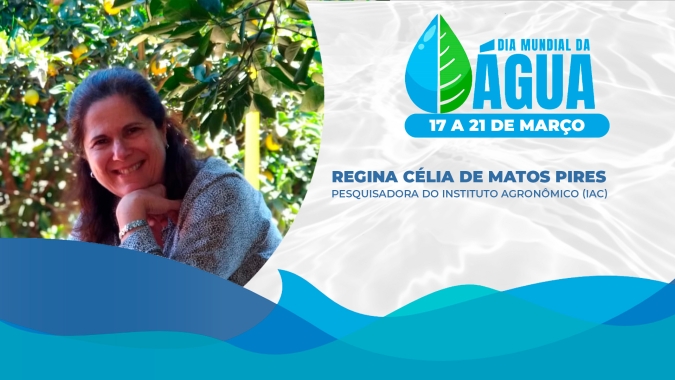 Para pesquisadora e vice-diretora do IAC, reforçar a data do Dia Mundial da Água é fundamental para conscientização