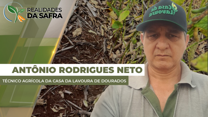Laguna Carapã/MS já tem perdas de 20% no potencial produtivo da soja