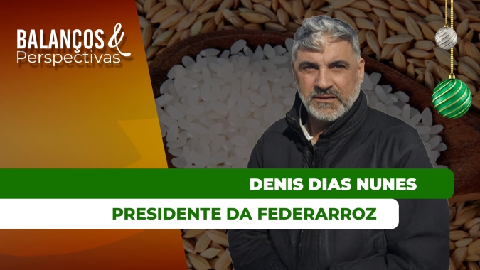 Preços do arroz em 2025 atingiram os menores níveis em anos no Brasil