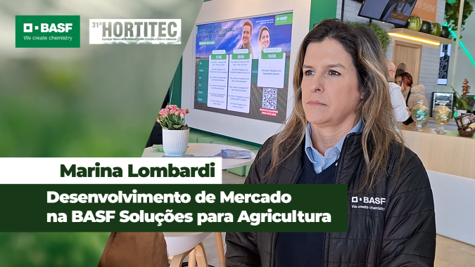 Mosca-branca e tripes são grandes desafios para produtores de tomate e podem causar perdas de até 80%