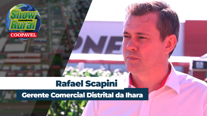 Percevejos tiram potencial produtivo da soja e o sono dos produtores