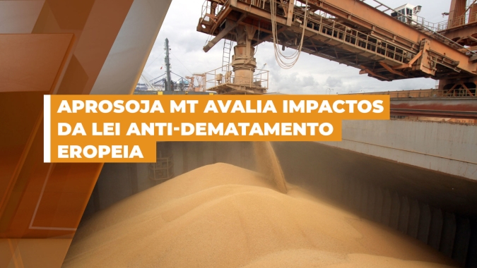 Lei Anti-Desmatamento Europeia pode aumentar em, no mínimo, US$ 60 a tonelada de soja exportada
