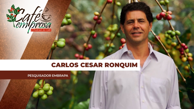Estudo promovido pela Embrapa Territorial mostra o potencial produtivo da cafeicultura nas Matas de Rondônia