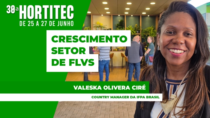 Setor de FLVs busca estratégias para seguir crescendo dois dígitos ao ano
