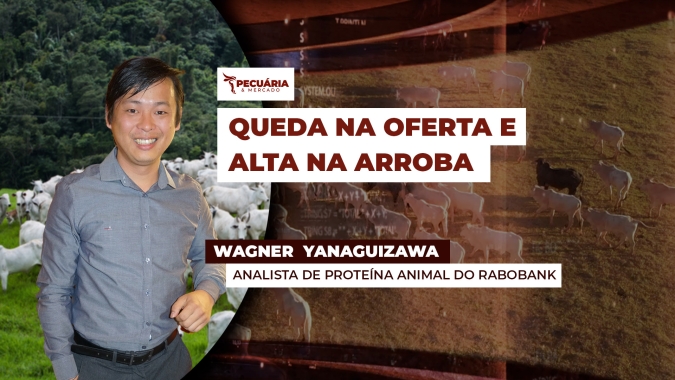 Restrição na oferta de animais para abate no mundo pode beneficiar o Brasil e valorizar arroba para o segundo semestre
