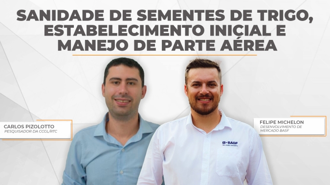 Manejo de doenças no trigo começa com um bom tratamento de sementes, promovendo proteção inicial à lavoura
