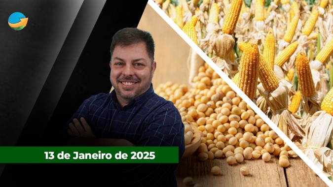 Soja sobe forte com perdas nas safras de Brasil e Argentina; café também reage em NY