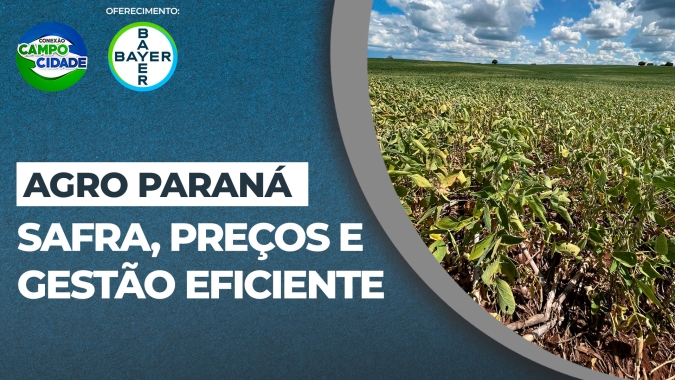 Paraná terá quebra de 15% na safra 23/24, afirma Dilvo Grolli