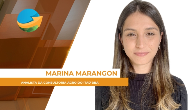Oferta escassa de trigo mantém preços elevados no Brasil