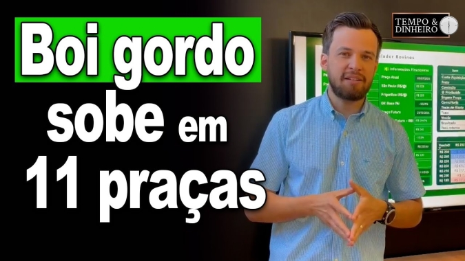 Boi gordo sobe em 11 praças pecuárias com redução das escalas de abate. Rafael Grings, analisa