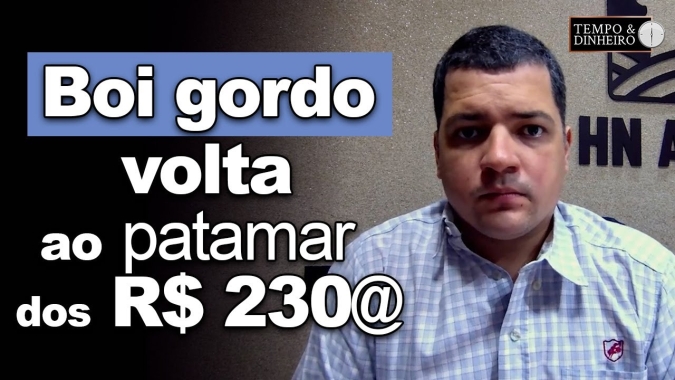 Boi gordo volta ao patamar dos R$ 230@ e sobe em 9 praças. Hyberville Neto comenta o mercado