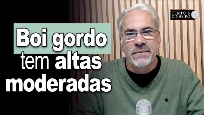 Boi gordo tem altas moderadas de olho na oferta . B3 e físico voltam a subir