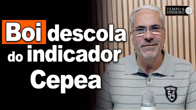 Boi gordo sobe em 5 praças e mercado vê B3 descolada do indicador Cepea