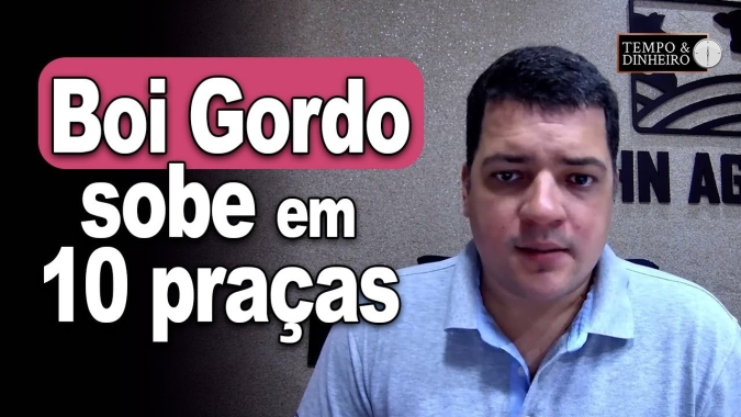 Boi gordo sobe em 10 praças com exportações recordes em julho, informa Hyberville Neto