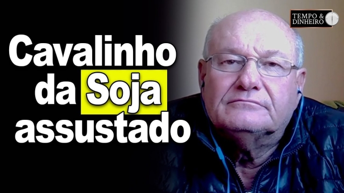 Cavalinho da Soja assustado