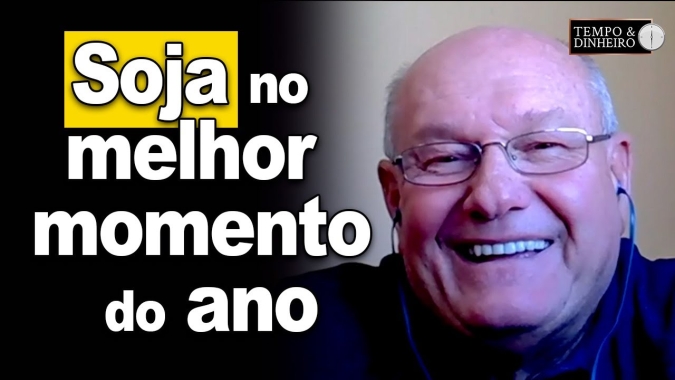 Soja no melhor momento do ano