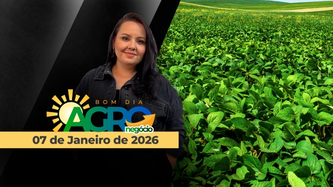 O desafiador 2026 do financiamento do agronegócio brasileiro, chuvas no Sul do BR e mudanças tributárias no MT