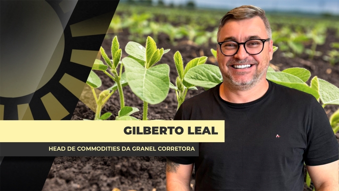 Soja tem semana negativa e analista reforça que carregar produto no BR não compensa neste momento