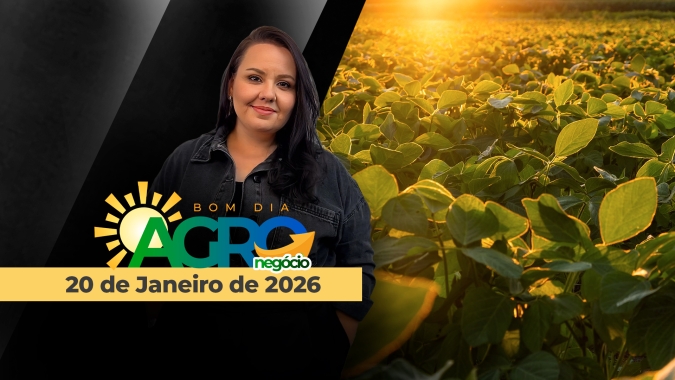Grãos retomam trabalhos em Chicago em queda, margens apertadas na soja e a sobrevivência econômica do produtor brasileiro