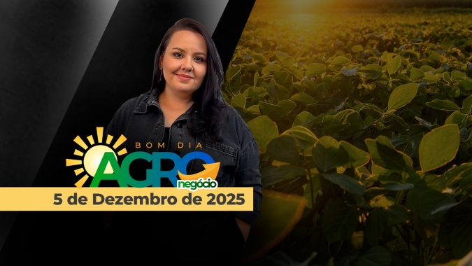 Clima e a safra 25/26 de soja, lista de exóticas suspensa, seguro e as dívidas dos produtores do RS