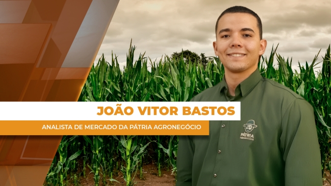 Mercado travado segura preços do milho no Brasil, mas já há sinais de volta da demanda