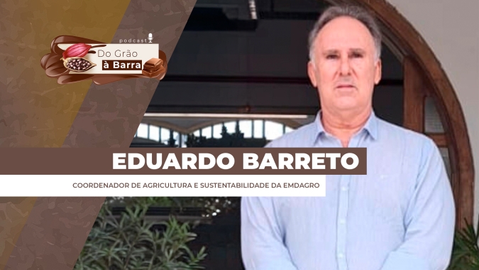 Cacau deixa de ser experimental e toma novo rumo produtivo no Sergipe