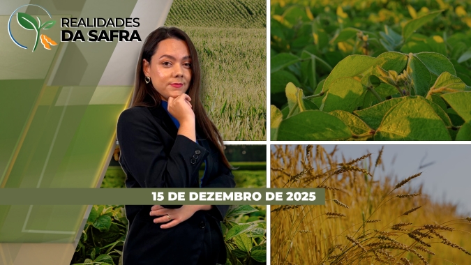 Safra de Café 26/27 pode atingir 74,4 milhões de sacas, enquanto produtividade da cana no Centro-Sul cresce 0,7% em novembro