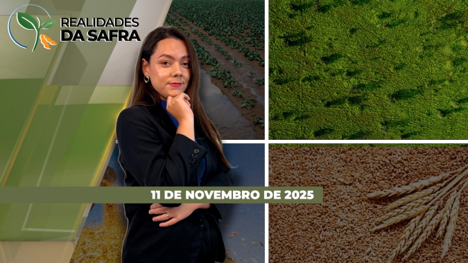 Plantio da soja avança no Brasil, mas rentabilidade preocupa produtores