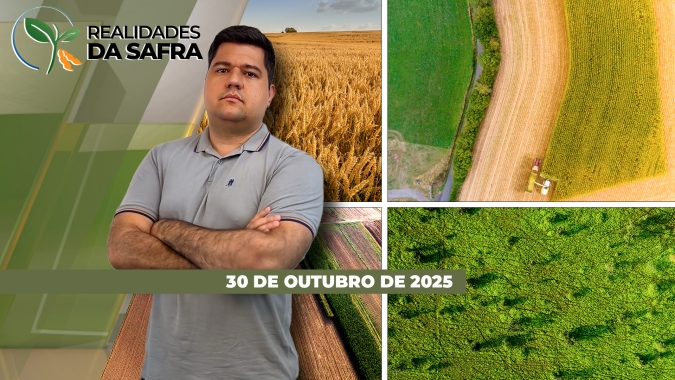 Plantio da soja passa de 60% no Mato Grosso com desafios de clima aparecendo