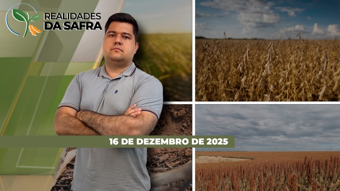Chuvas voltaram para o desenvolvimento da soja em Júlio de Castilhos/RS e no Tocantins