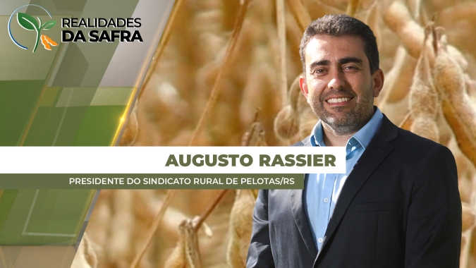 Pelotas/RS teve bons plantios de arroz e soja, mas agora enfrenta período seco