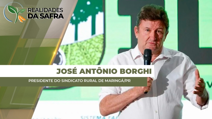 Após chuvas intensas e granizo, doenças radiculares avançam e estiagem intensifica perdas na safra de soja em Maringá/PR