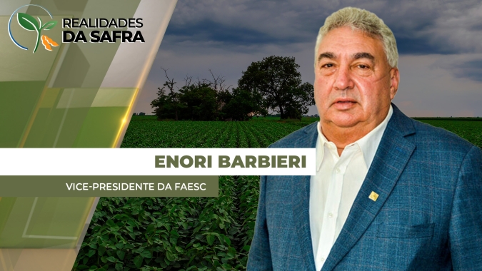 Plantio da soja na reta em final em Santa Catarina