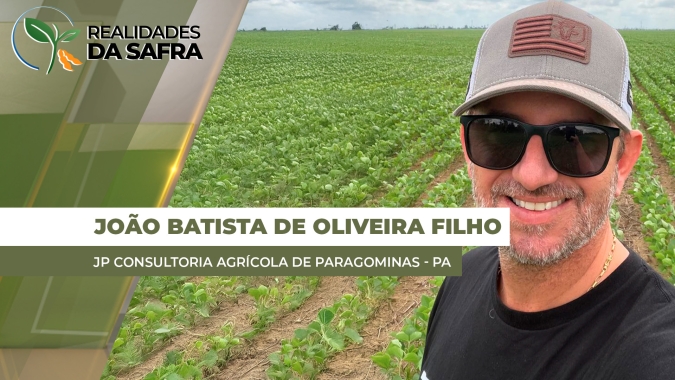 Plantio da soja chega em 80% na região de Paragominas/PA
