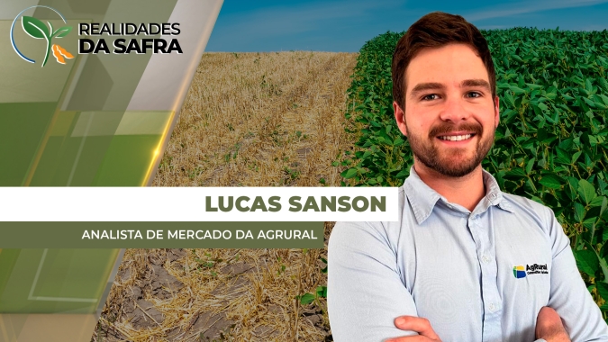 Condições de clima melhoraram para o desenvolvimento da soja no Brasil